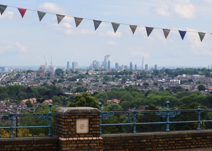 Alexandra Palace View