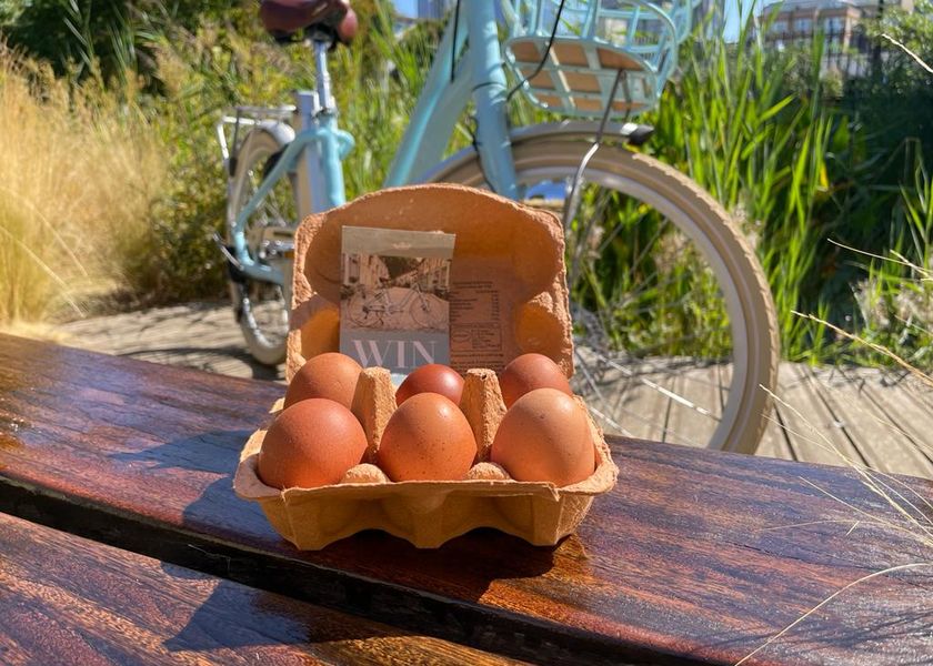 Kensington and Clarence Court Eggs