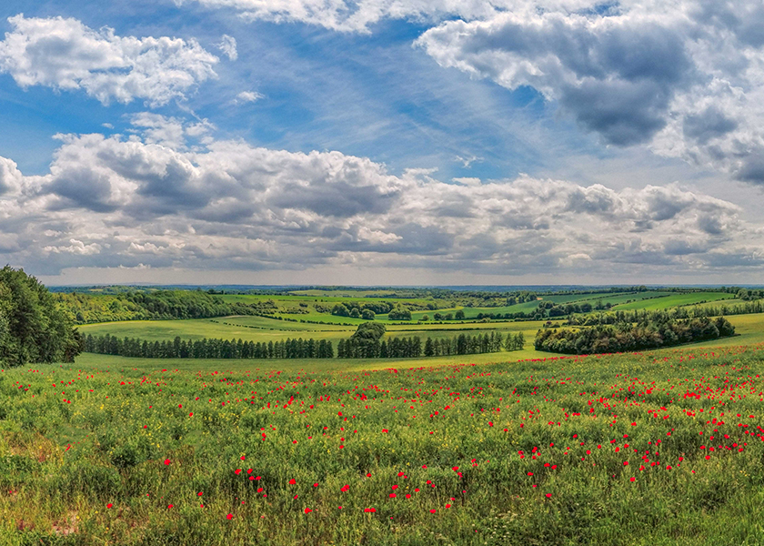 Haslemere Devils Punch Bowl