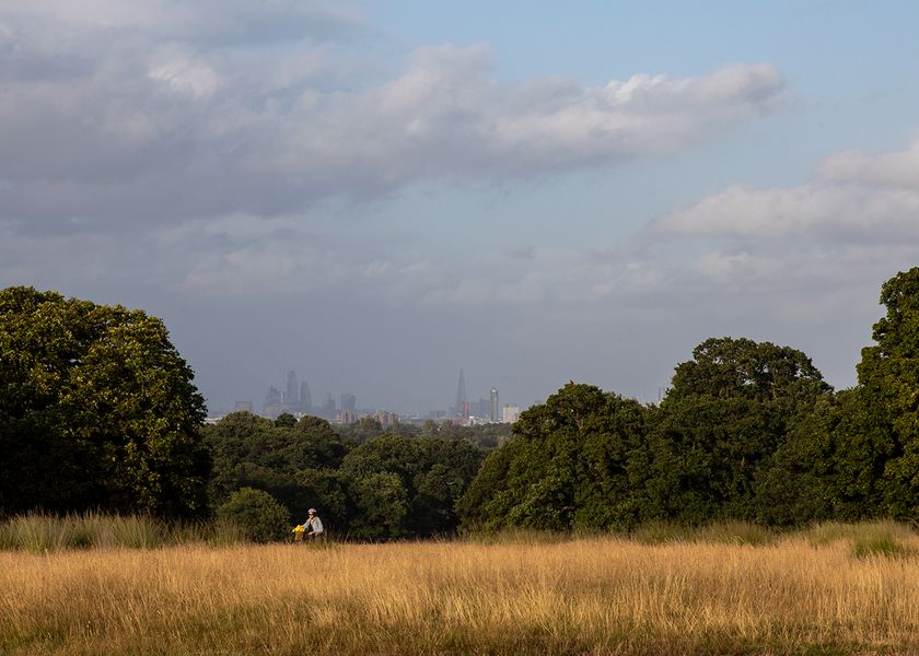 Richmond Park